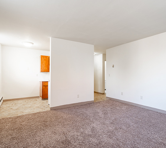 519 10th Ave SE MLS-18 (1) open concept.jpg